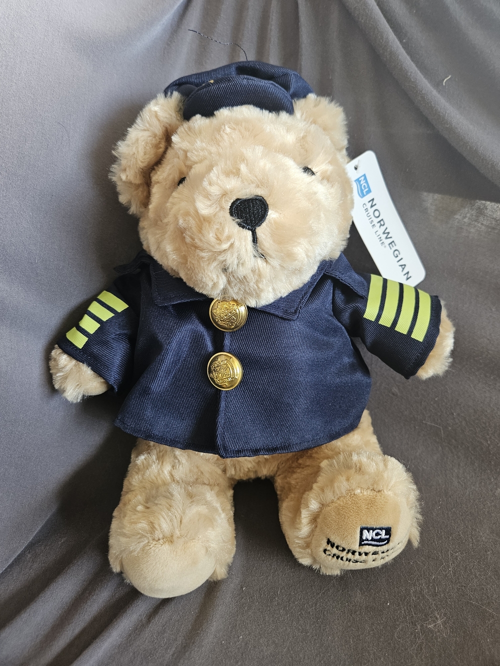 Norwegian Cruise Line Captain Bear Plush in Navy Blue
